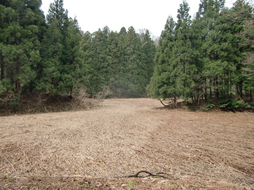 稚児ヶ池